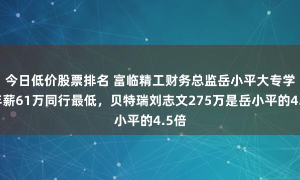 今日低价股票排名 富临精工财务总监岳小平大专学历年薪61万同行最低，贝特瑞刘志文275万是岳小平的4.5倍