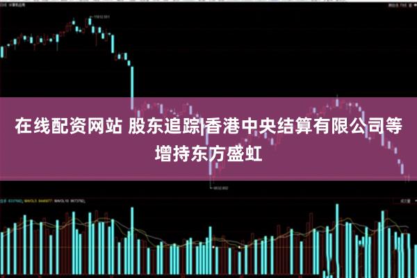 在线配资网站 股东追踪|香港中央结算有限公司等增持东方盛虹