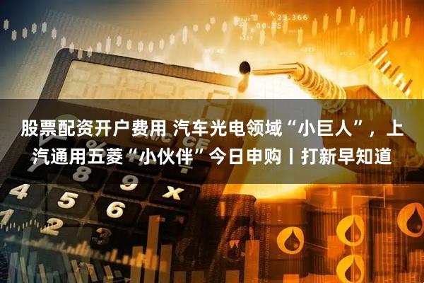 股票配资开户费用 汽车光电领域“小巨人”，上汽通用五菱“小伙伴”今日申购丨打新早知道